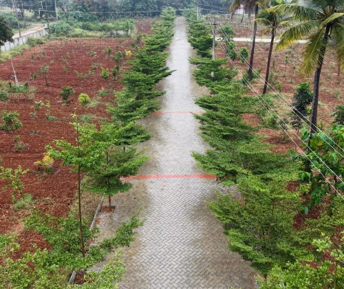 Sequence 02.00_04_53_47.Still003